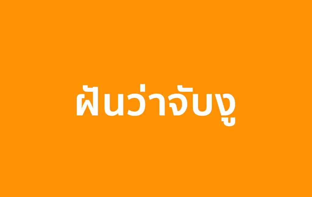 ฝันว่าจับงูตัวใหญ่