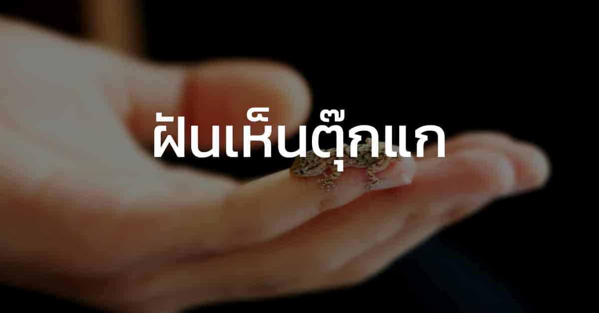 ฝันเห็นตุ๊กแก